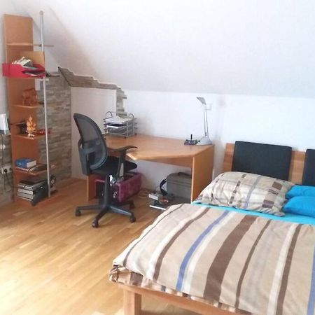 Neue, Helle Wohnung In Ludwigsburg, Nah Am Schloss Esterno foto